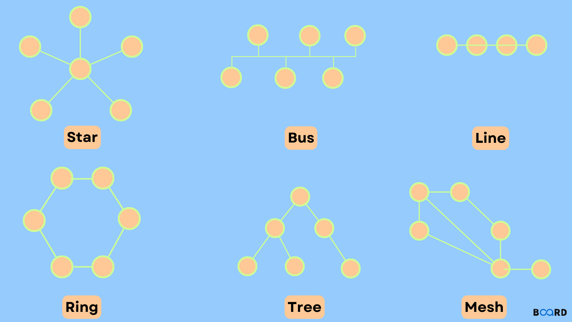 Network Topology