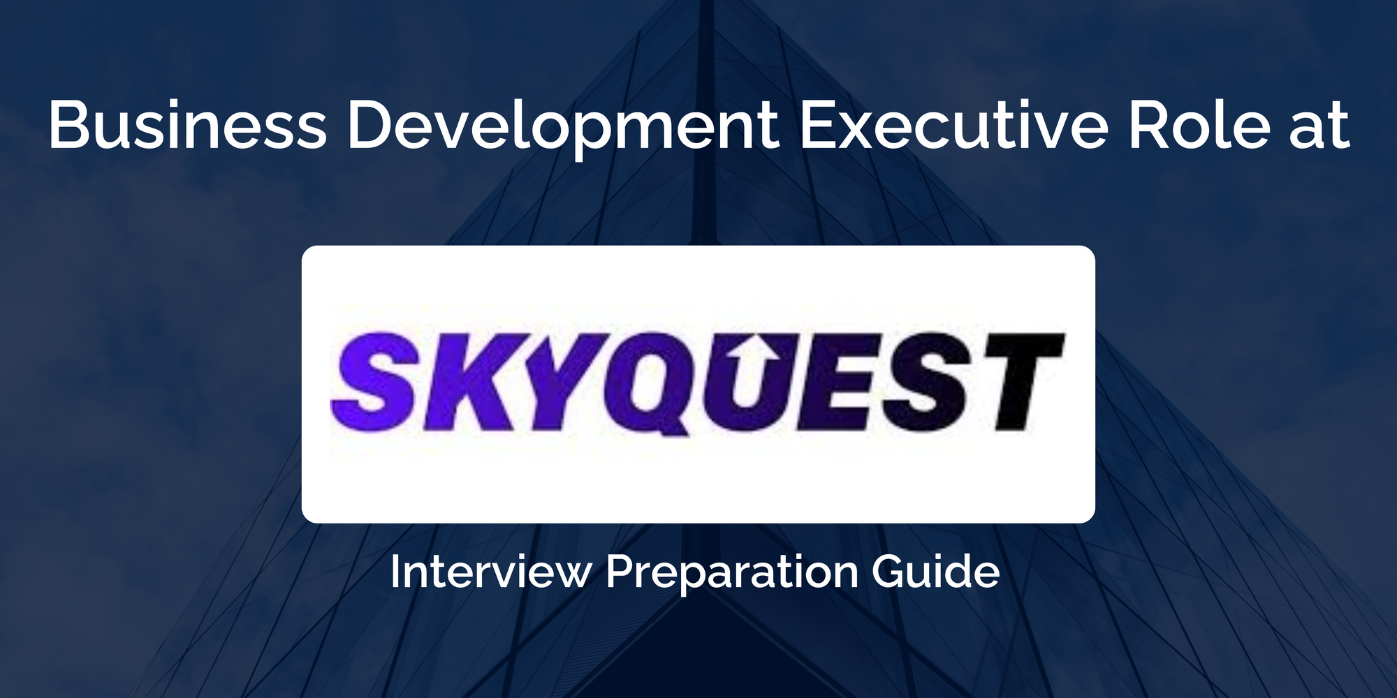 SkyQuest: Excelling in Your Business Development Executive Interview – A Comprehensive Guide