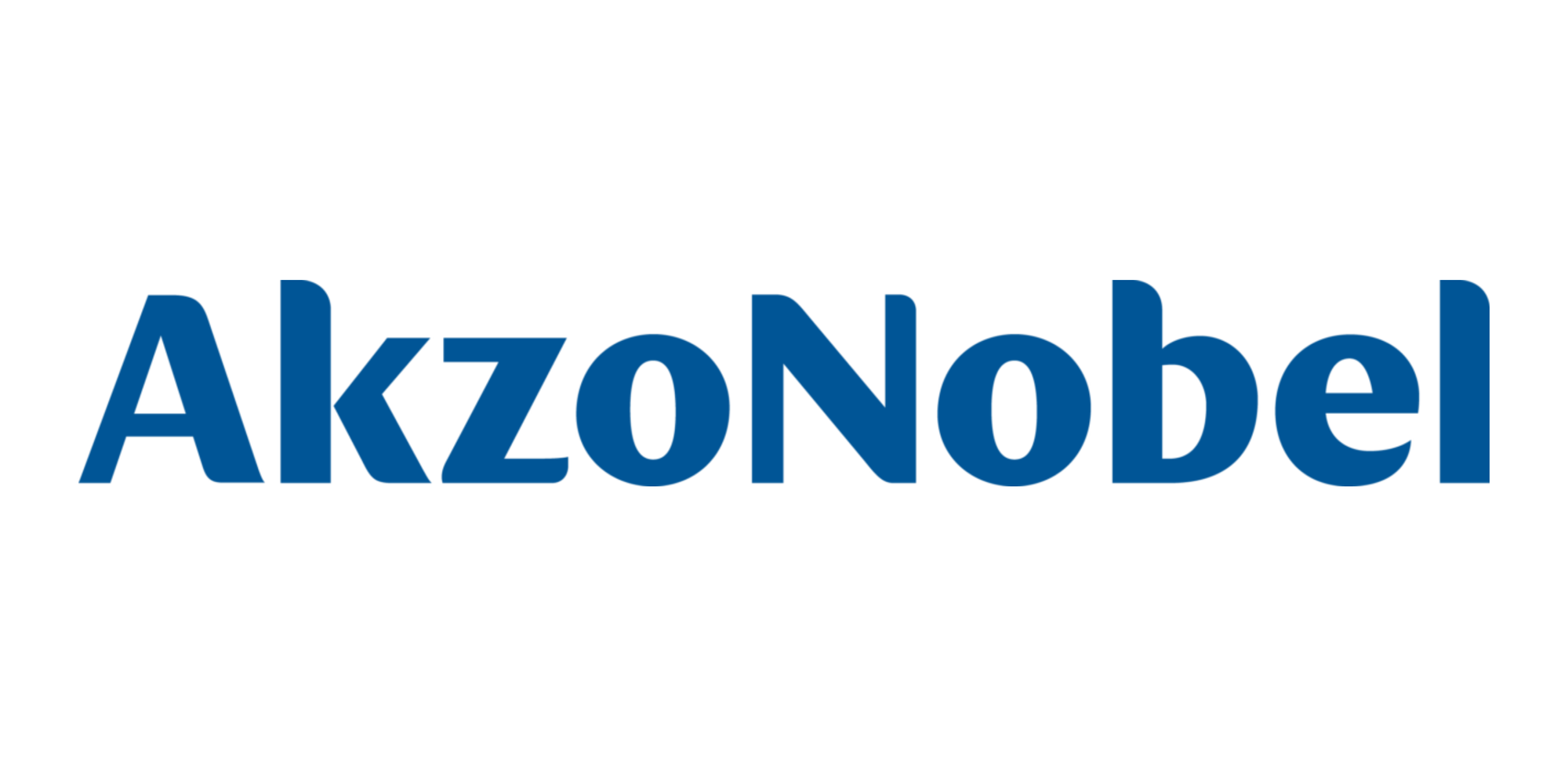 AkzoNobel Careers Guide: History, Values, Interview