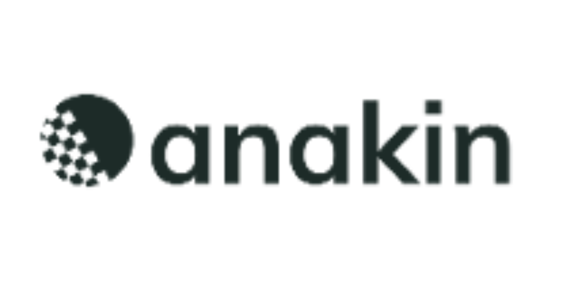 Anakin Careers Guide: Company, Services, Interview