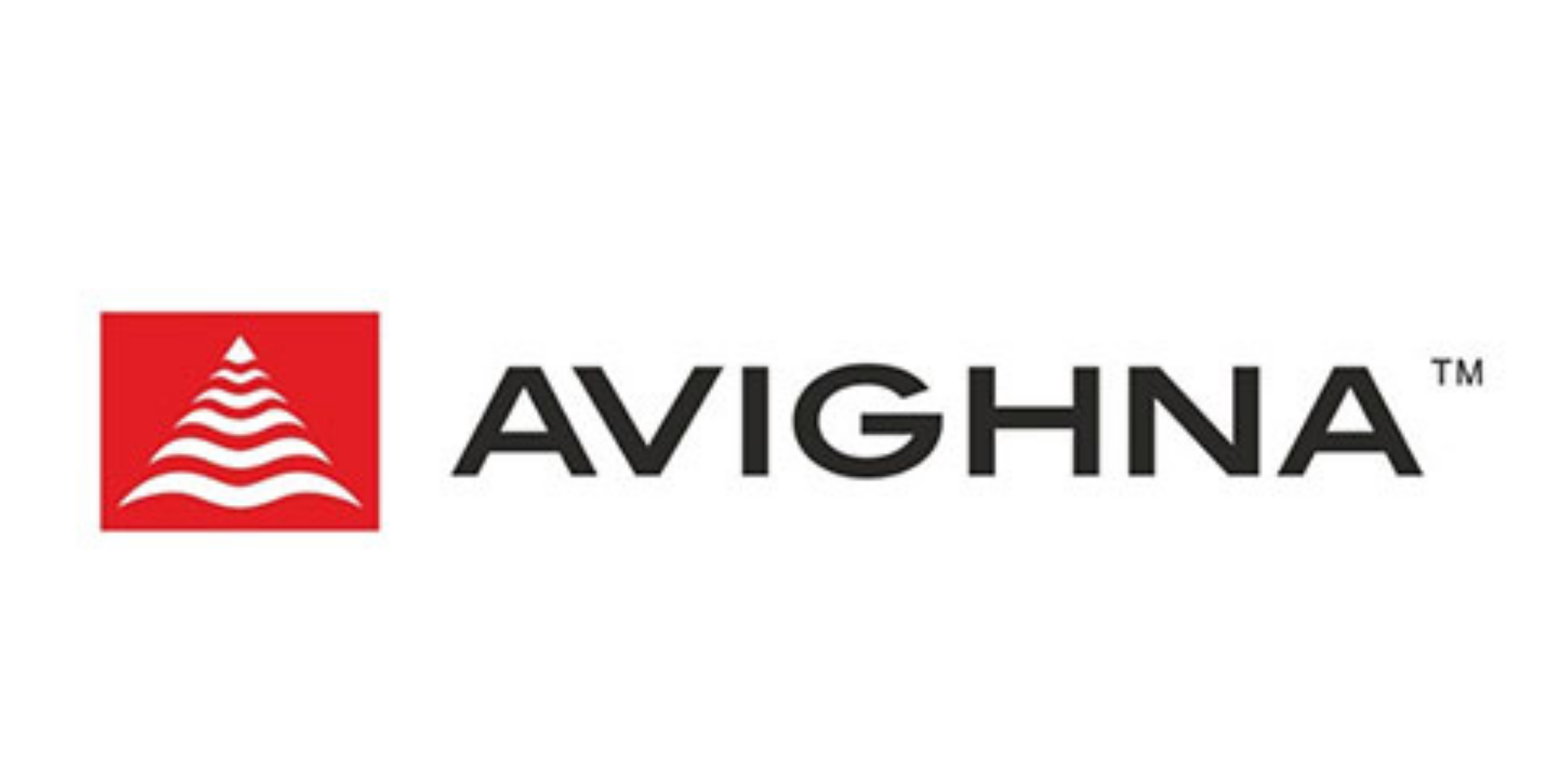 Avighna Group:A Comprehensive Interview Preparation Guide to Success