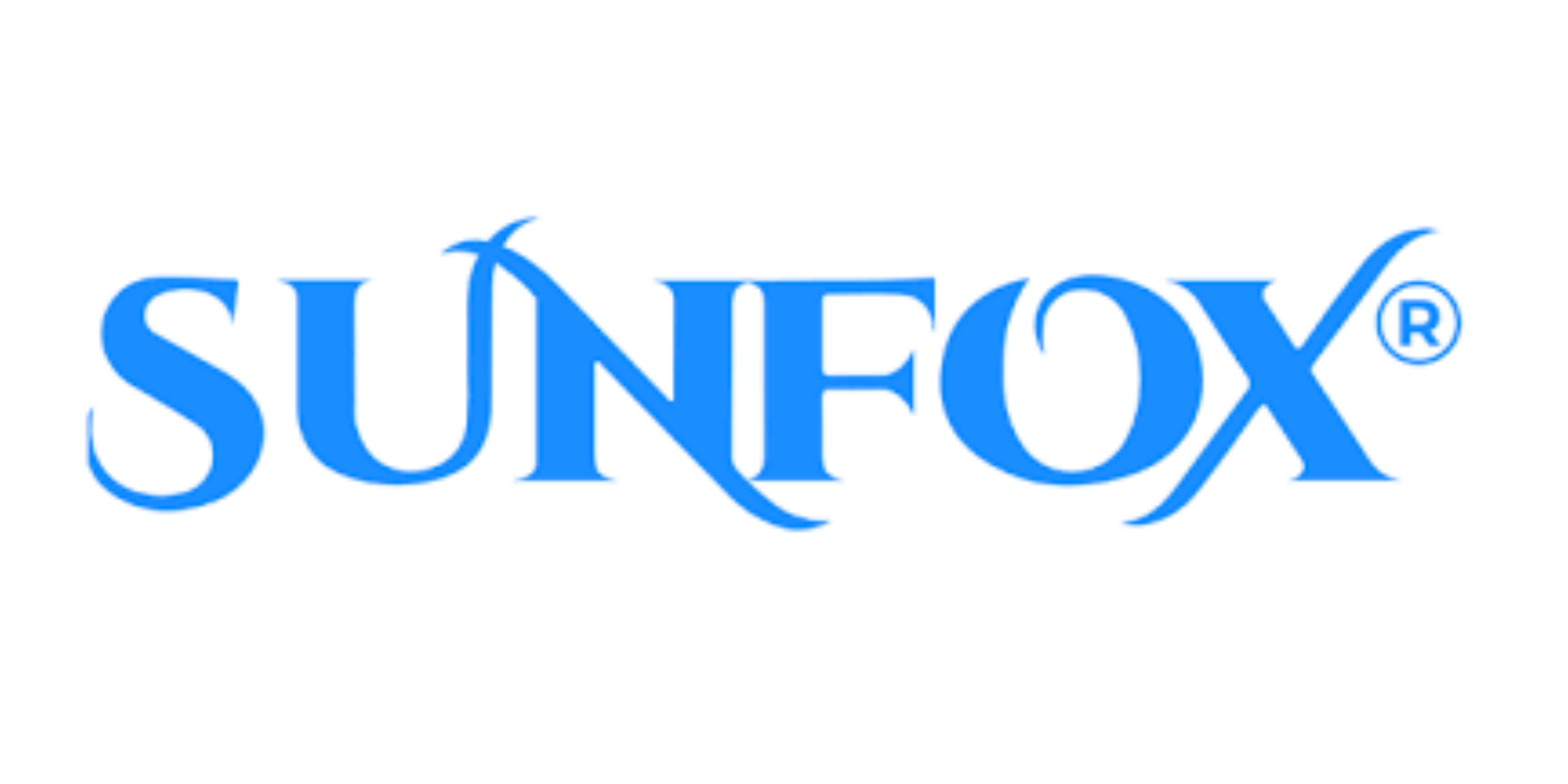 Sunfox Technologies: A Comprehensive Interview Preparation Guide to Success