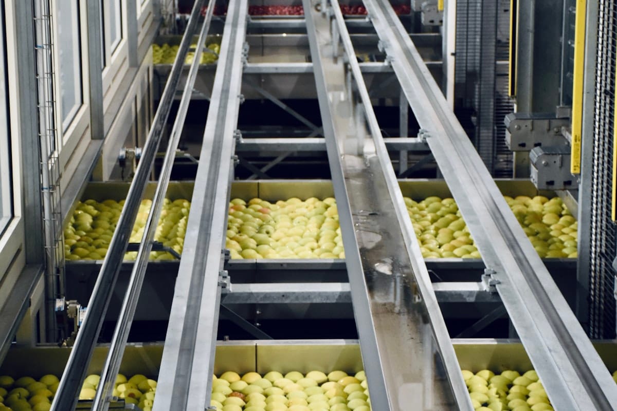 Conveyor lines inside a food processing plant