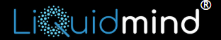 Liquidmind.ai: A Comprehensive Interview Preparation Guide to Success